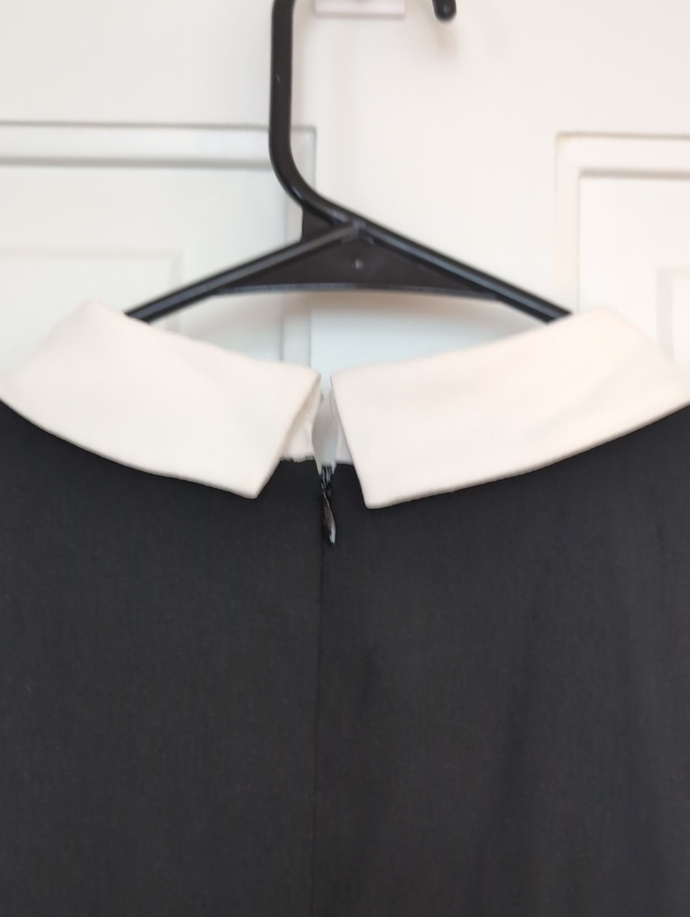 CeCe Black Mini Dress with White Peter Pan Collar - Picture 5 of 6